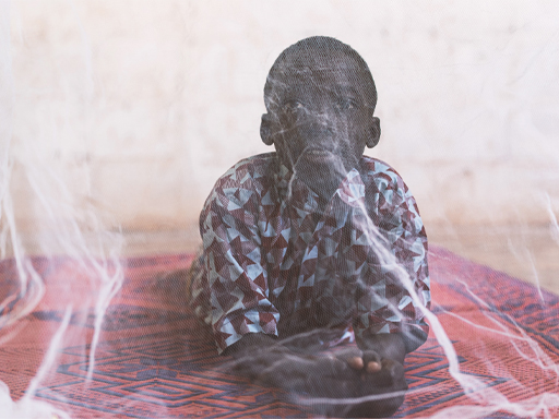 A photograph of a child with a mosquito net over them