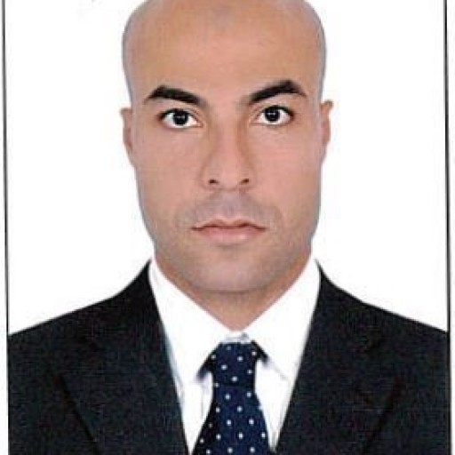 Profile: Ayman Ibrahim Awad