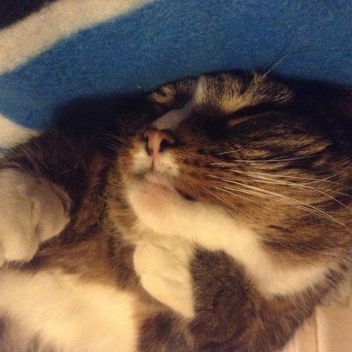 Profile: Bethany Atteck