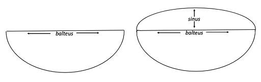 This image shows two line drawings. The one on the left consists of a semi-circle with ‘balteus’ written along the straight edge. The one on the right is identical save for an additional semicircle added to the top, giving the full outline an elliptical shape. This additional semicircle is labelled ‘sinus’.