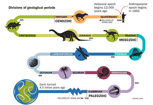 A graphic showing the different geological periods following the formation of the Earth: Paleozoic; Ordovician; Silurian; Devonian; Carboniferous; Permian; Triassic; Jurassic; Cretaceous; Cenozoic; Quaternary.