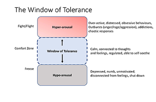There are three boxes. At the top is Hyper-arousal (or fight/flight): over-active, distressed, obsessive behaviours, outbursts (anger/rage/aggression, addictions, chaotic responses. The next is Window of Tolderance (or comfort zone): calm, connected to thoughts and feelings, regulated, able to self-sooth. The last is Hypo-arousal (or freeze): depressed, numb, unmotivated, disconnected from feelings, shut down.
