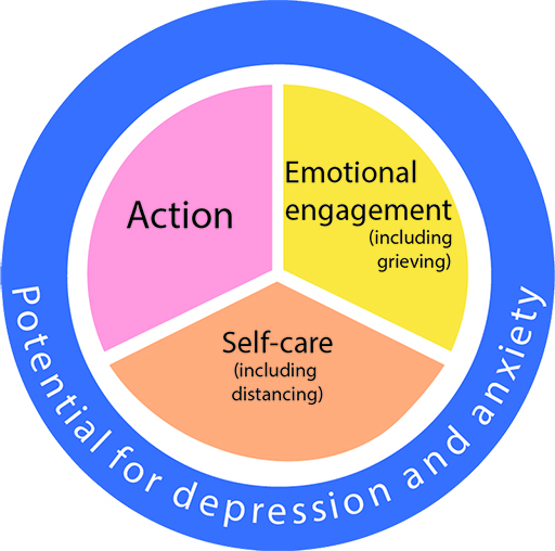 A pie-chart with three items: action; emotional engagement (including grieving); self-care (including distancing).