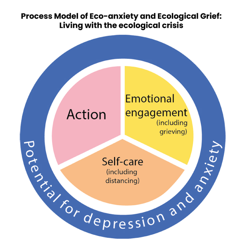 A pie-chart with three items: action; emotional engagement (including grieving); self-care (including distancing).