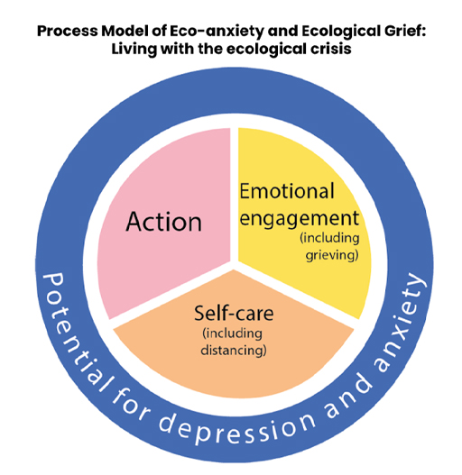 A pie-chart with three items: action; emotional engagement (including grieving); self-care (including distancing).