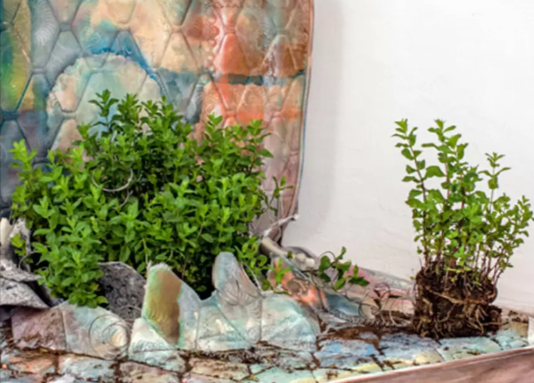 Image for the course