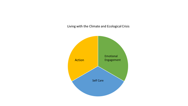 pie chart showing 'action', 'emotional engagement' and 'self care'