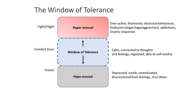 Window of tolerance diagram showing fight/flight, comfort zone and freeze responses