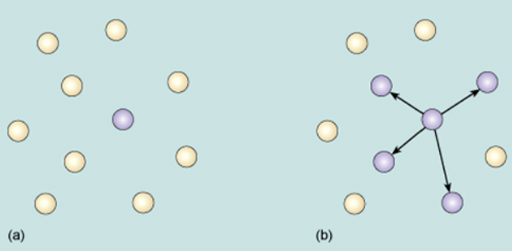 Diagrammatic representation of the basic reproduction number, R0.