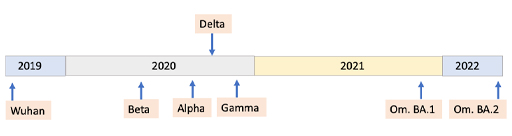 A timeline showing when the SARS-CoV2 VOCs were first identified.