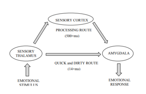 The amygdala hijack diagram
