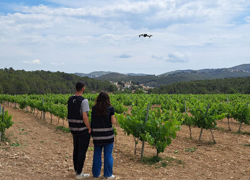Two people standing in a vineyard with a drone hovering in the sky above