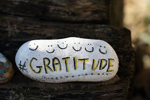 A rock with the word ‘Gratitude’ written on it.