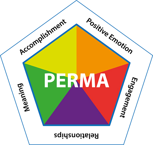 In the centre is the word ‘PERMA’. Around this are the words ‘Positive emotion’, ‘Engagement’, ‘Relationships’, ‘Meaning’ and ‘Accomplishment’.