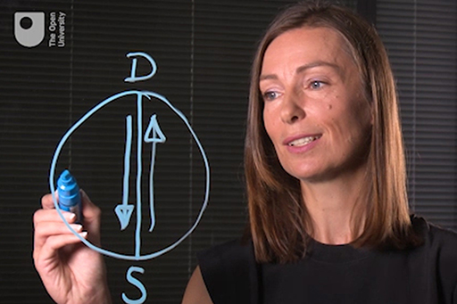 A photograph of Zoe Walkington drawing a diagram. The diagram is a circle with a line intersecting the circle from top to bottom. The top of the circle is labelled D (standing for dominance) and the bottom of the circle is labelled S (standing for submission). There is one arrow from the bottom of the circle pointing upwards (from submission to dominance) and another from the top of the circle pointing downwards (from dominance to submission).
