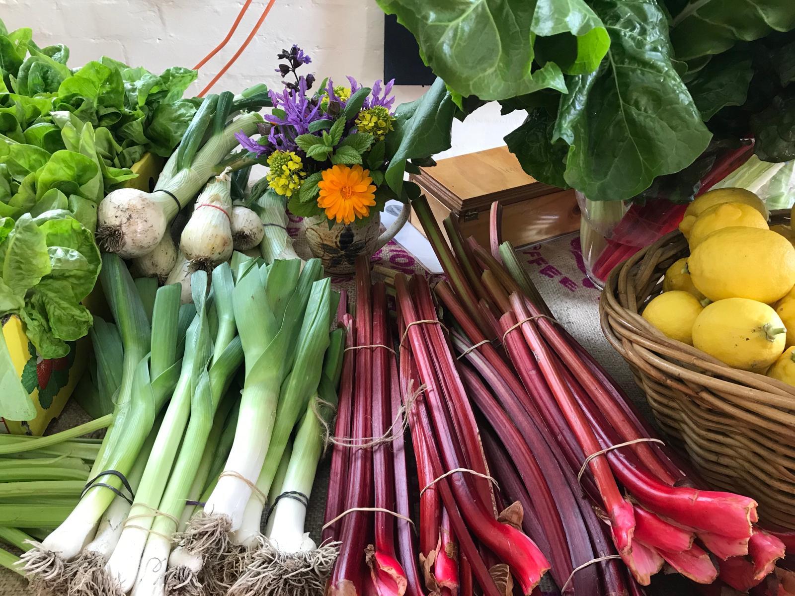 Fresh vegetable produce