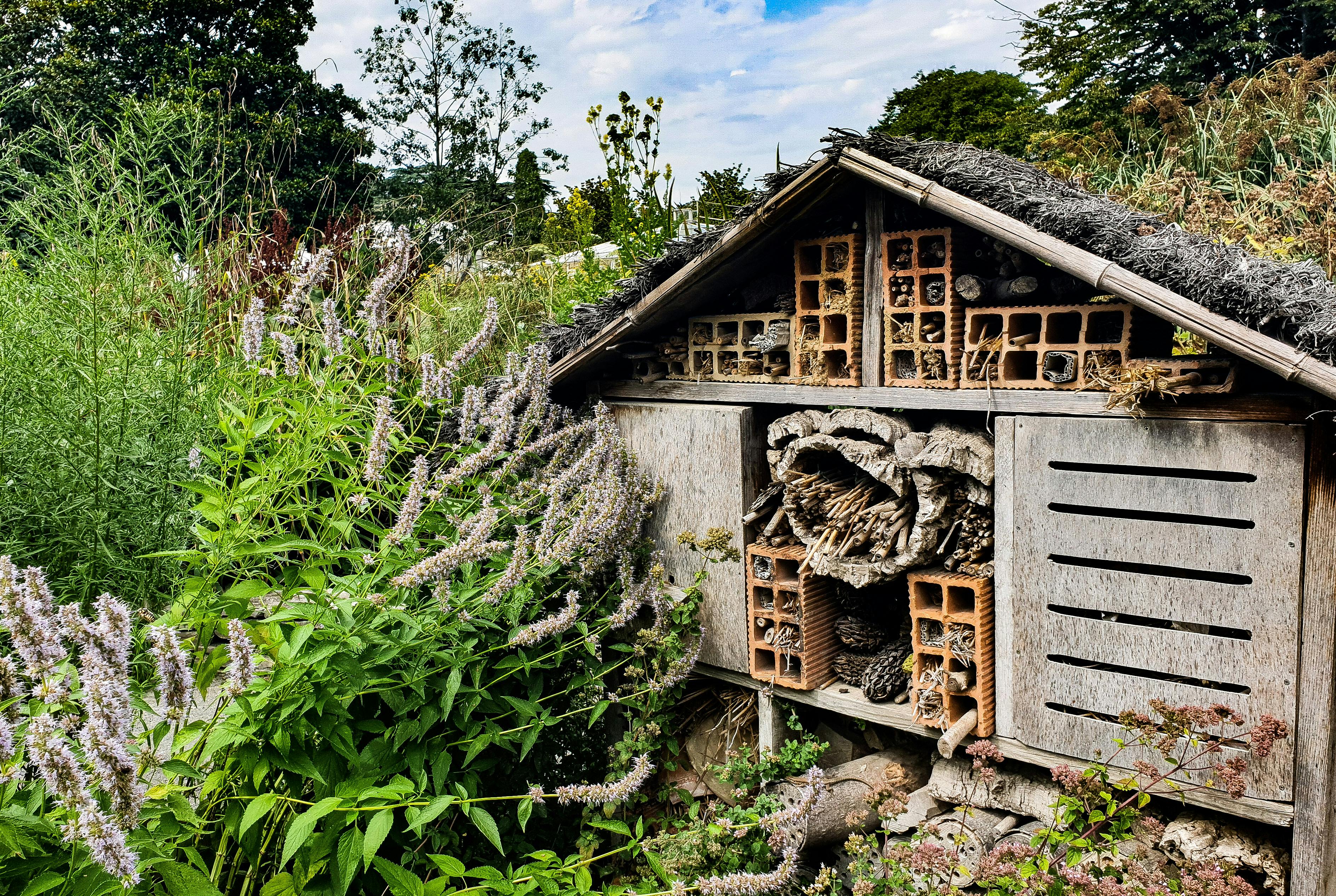 Brown wooden house for insects surrounded by green plants’