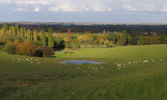 Sheep in Campbell Park, Milton Keynes
