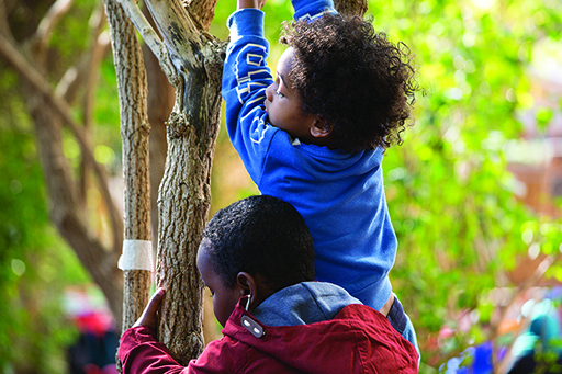 A child supporting another child on their shoulders to climb a tree