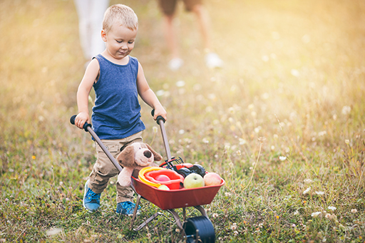 A young child pushing a wheelbarrow with toys in it