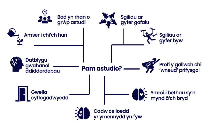 Diagram yn dangos pam y dylech chi astudio