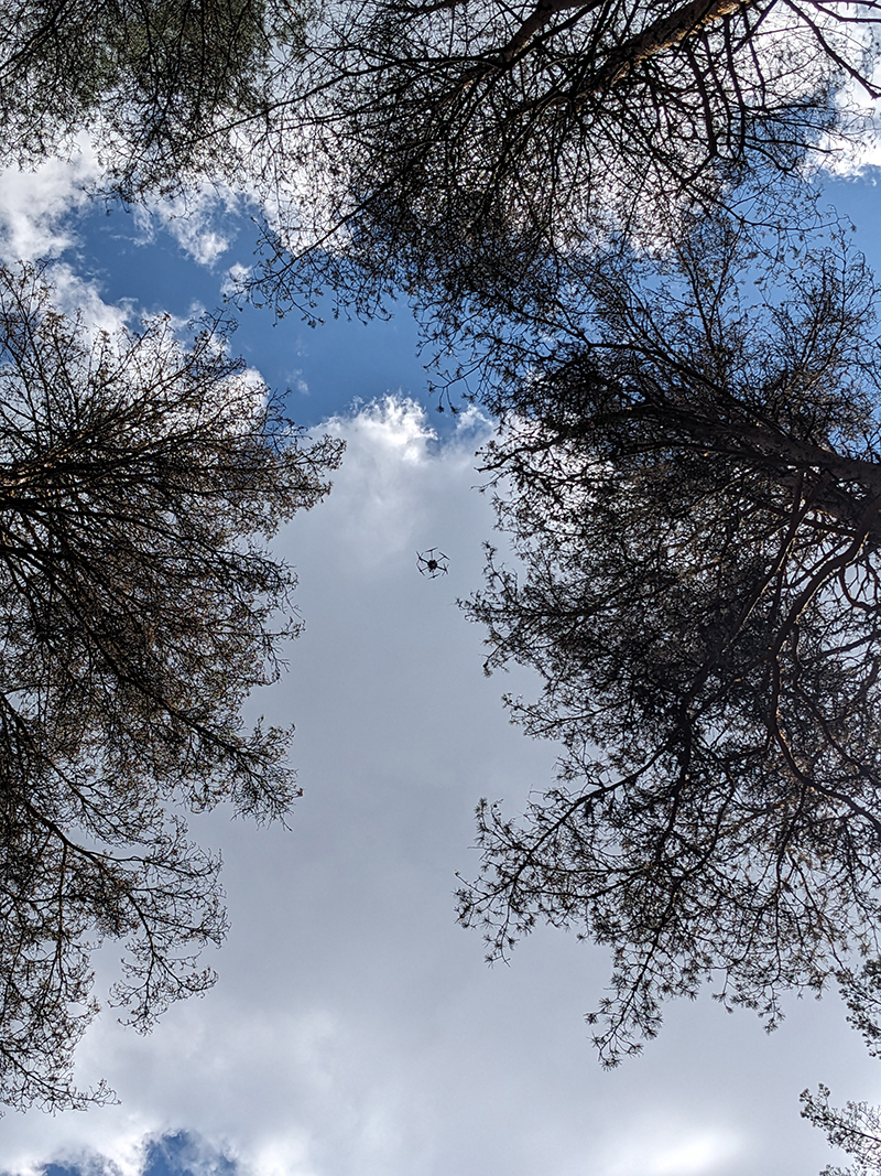 Photograph of a drone in the air among some tree branches.