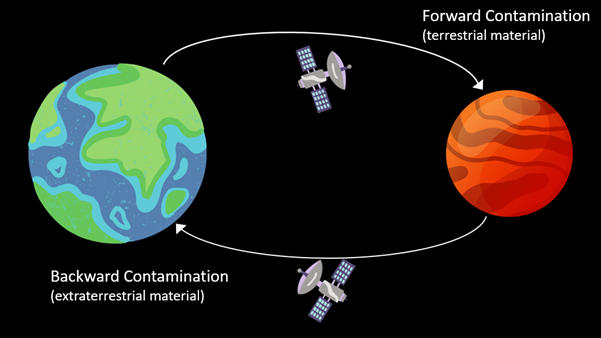 A diagram showing forward and backward contamination
