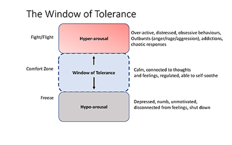There are three boxes. At the top is Hyper-arousal (or fight/flight): over-active, distressed, obsessive behaviours, outbursts (anger/rage/aggression, addictions, chaotic responses. The next is Window of Tolderance (or comfort zone): calm, connected to thoughts and feelings, regulated, able to self-sooth. The last is Hypo-arousal (or freeze): depressed, numb, unmotivated, disconnected from feelings, shut down.
