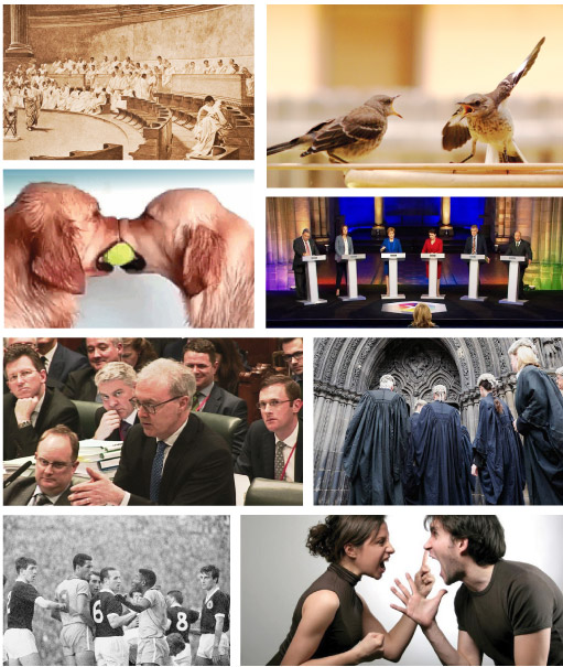 Collage of images relating to arguments