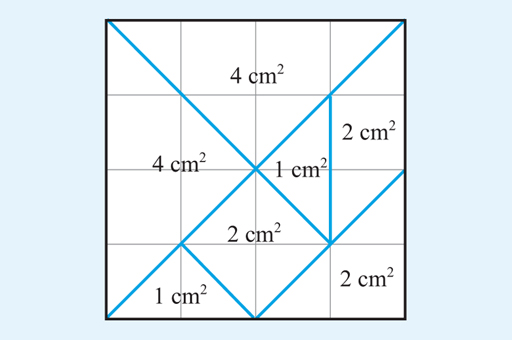 Grid showing square centimetres