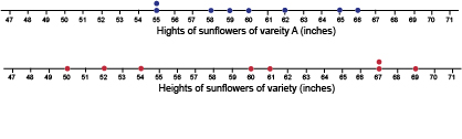 Number lines, showing sunflower heights.