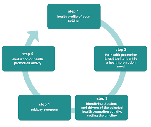 The 5 steps are: 1. Health profile of your setting; 2. The health promotion target tool to identify a health promotion need; 3. Identifying the aims and drivers of the selected health promotion activity, setting the timeline; 4. Midway progress; 5. Evaluation of health promotion activity