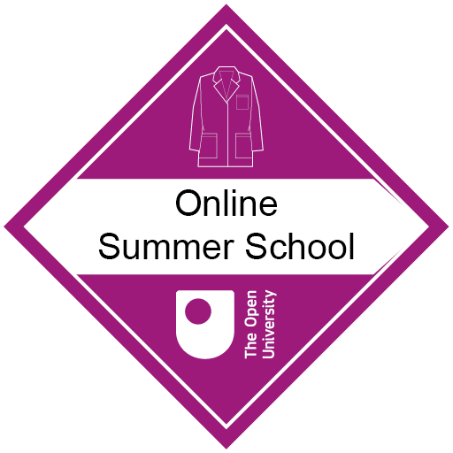 Online Summer School 2024