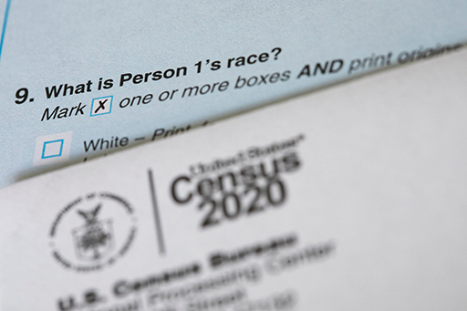 Part of a census, asking the question ‘What is Person 1’s race?’.