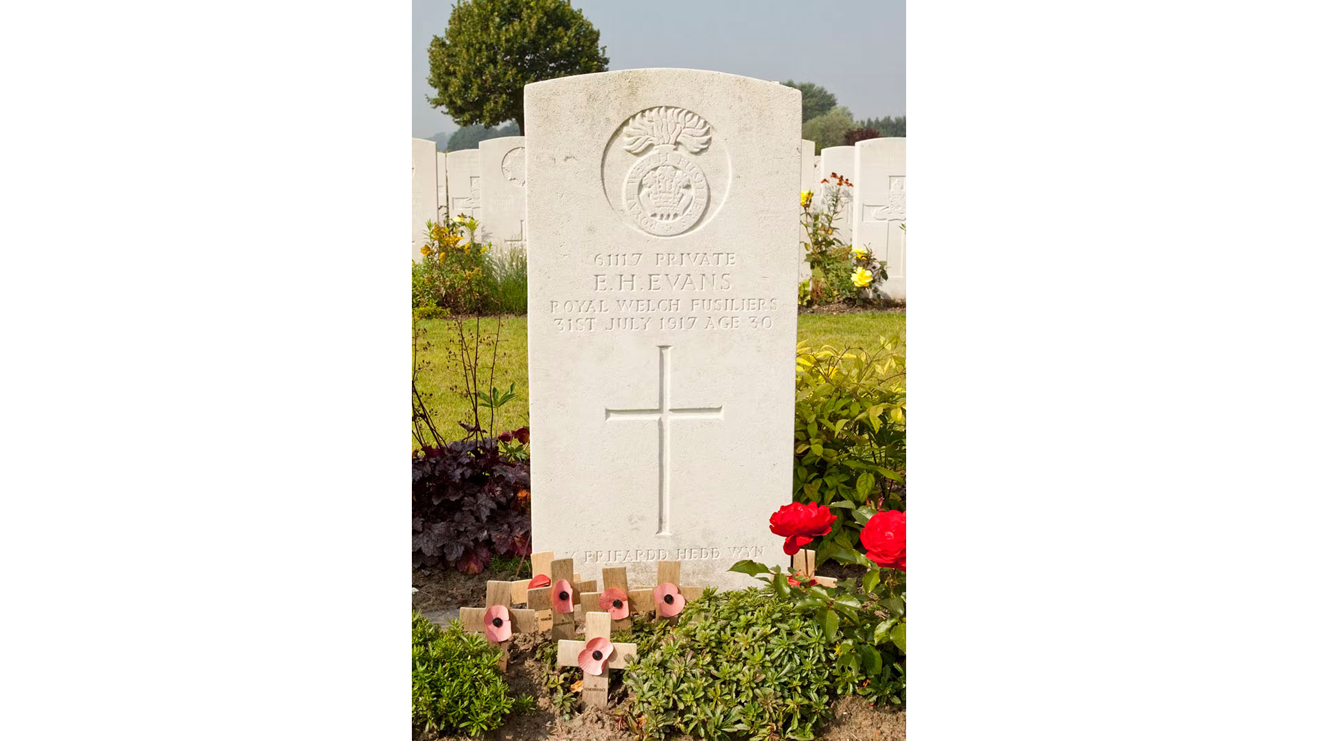 Hedd Wyn's headstone at Artillery Wood. 