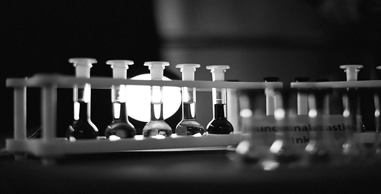 Science and society: A career and professional development course