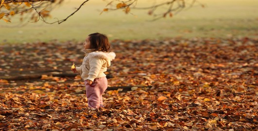 Children's participation