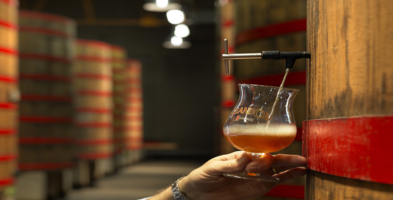 Alcohol and human health