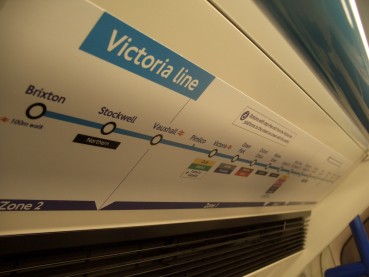 Cytoskeleton: The cell city's transport system