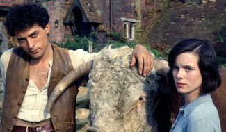 A reader's guide to Cold Comfort Farm