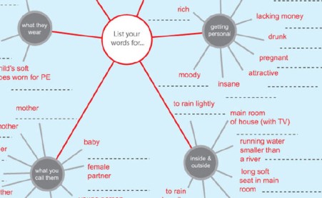 Download your language survey kit
