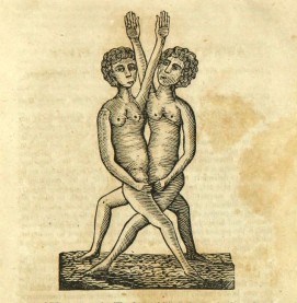 Learning about sex, a shilling a time: Aristotle's Masterpiece