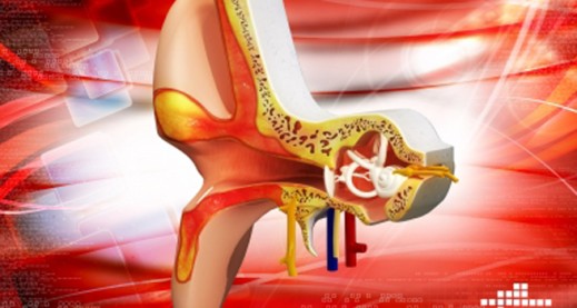 Our sense of balance