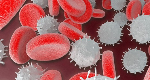 Oxygen, blood and the body