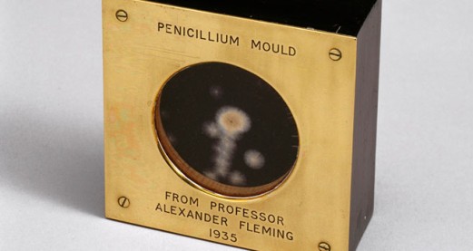 What are premature babies telling us about antibiotic resistance?