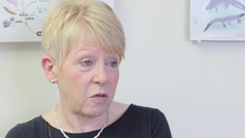 What does it take to mentor young offenders?