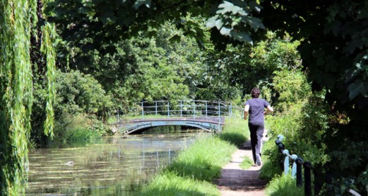 Why do we keep running?