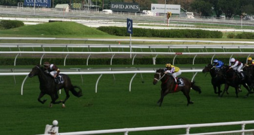 A day at Doncaster - and an hour out of Durham