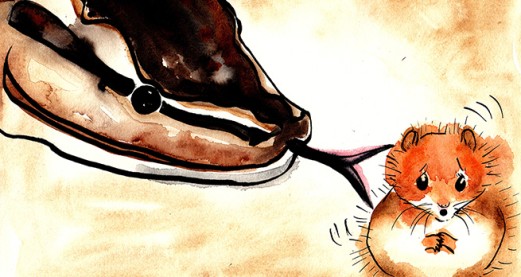 On Brexit, Hamsters & Hungry Pythons!