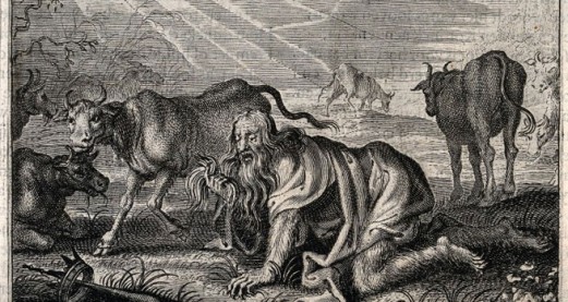 Who are otherkin - and how should we view them?